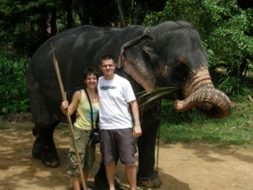 Elefanten auf dem weg nach Kandy